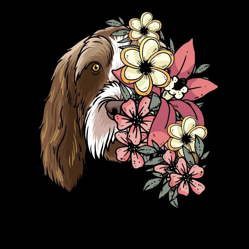 Spinone Italiano Hunde