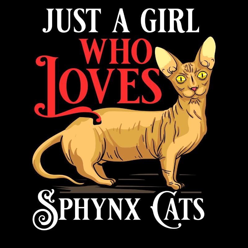 Sphynx Chat Sphinx Chaton sans poils Egypte