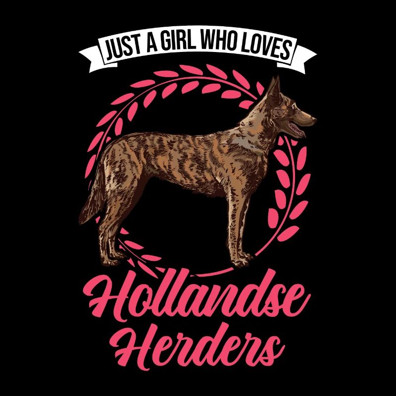 Hollandse Herder Mädchen Holländischer Schäferhund