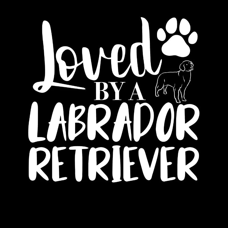 Chiens Labrador