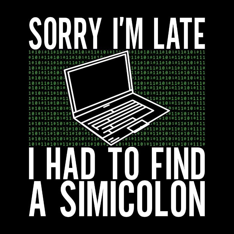 Programmierer Informatiker