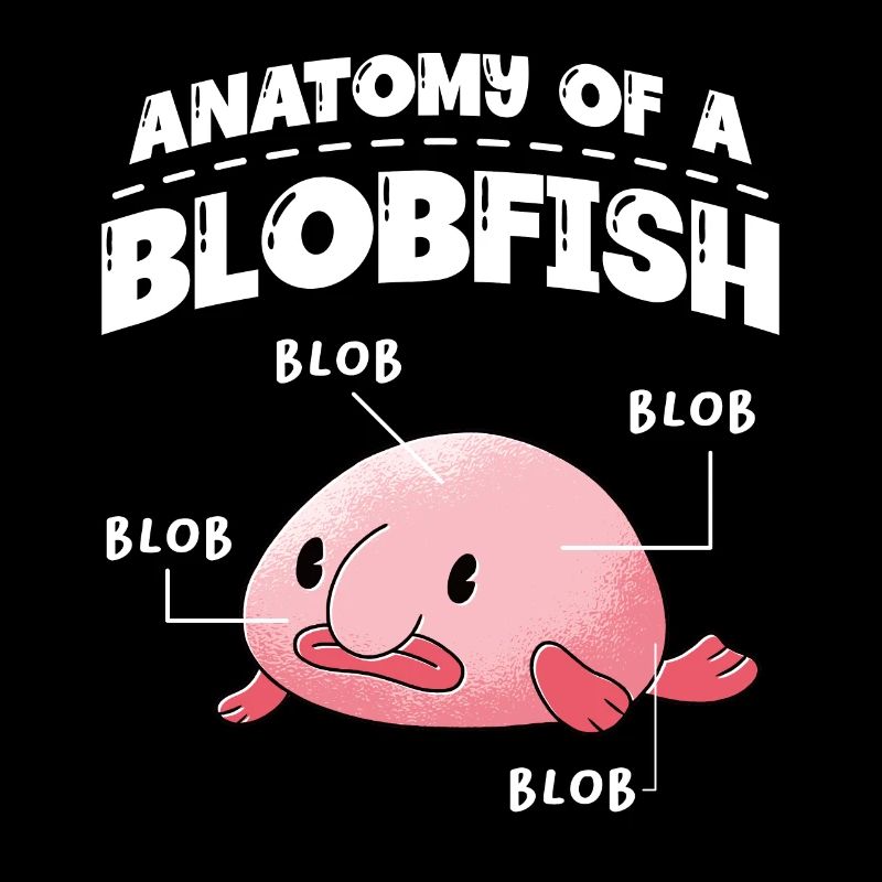 Anatomie d’un