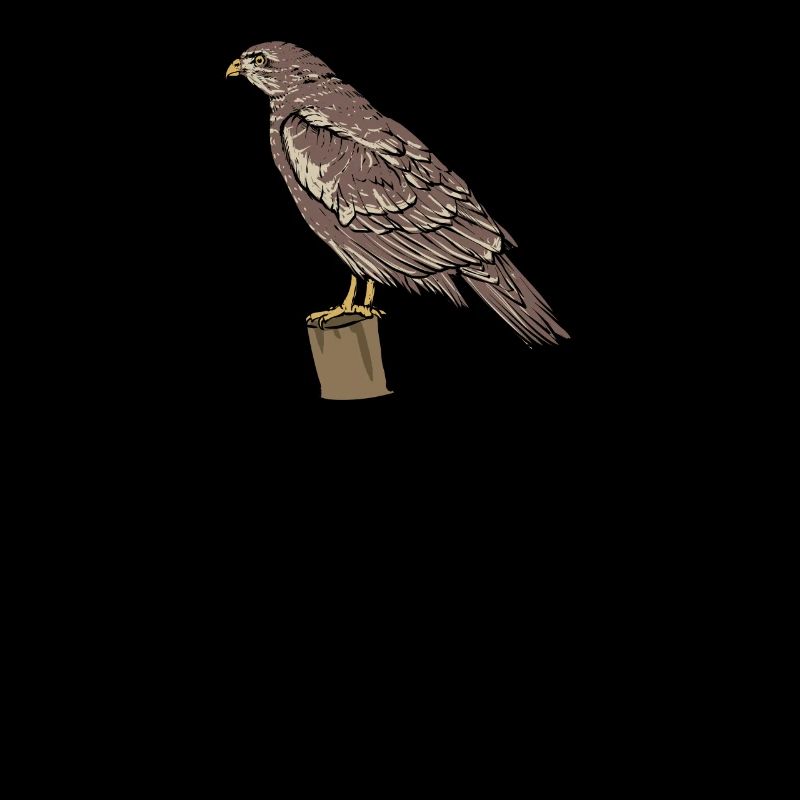 Buzzard I Bird of Prey Buzzard Motif for