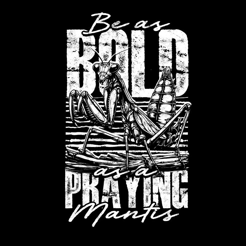 Gottesanbeterin Be As Bold As A Praying Mantis