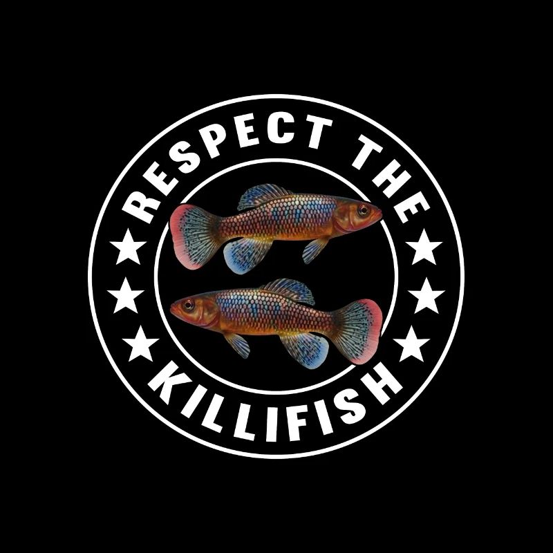 Killifish Quarium Fish