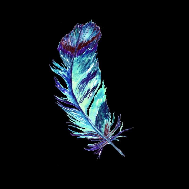 feathers