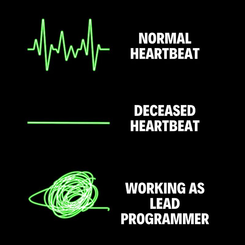 Lead Programmer Worker Funny Programmer