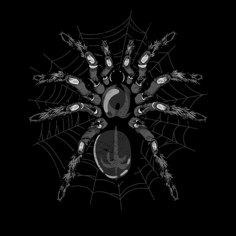 Tarantula Arachnid Tarantula gaveedderkopp