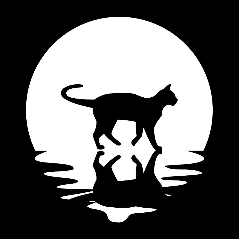 Cercle et réflexion - Chat -