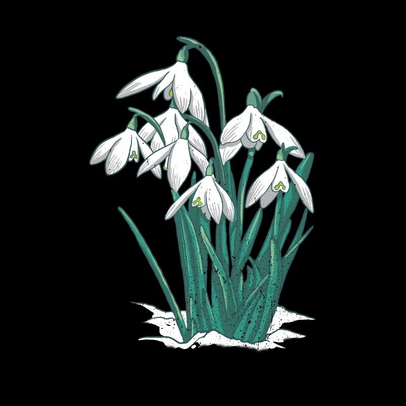 Snowdrop