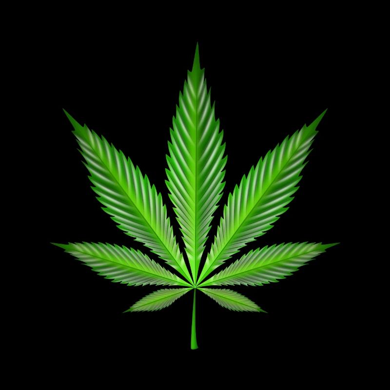 Cannabisblatt