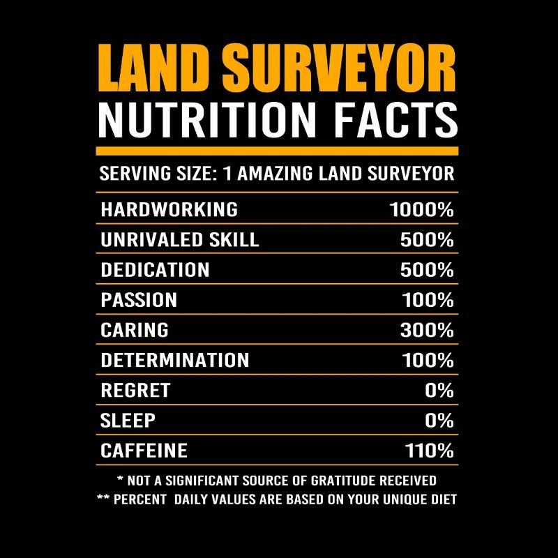 Surveyor