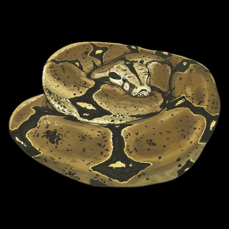 Snake - Boa Constrictor - Terrarium - Gift