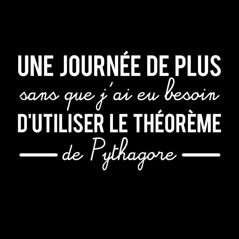 Une journée sans utiliser le théorème de pythagore
