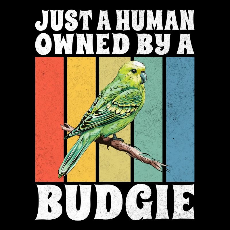 Budgie Gift