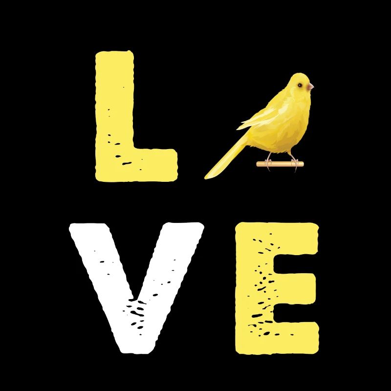 Canaris oiseau de compagnie Canari oiseaux Oiseaux