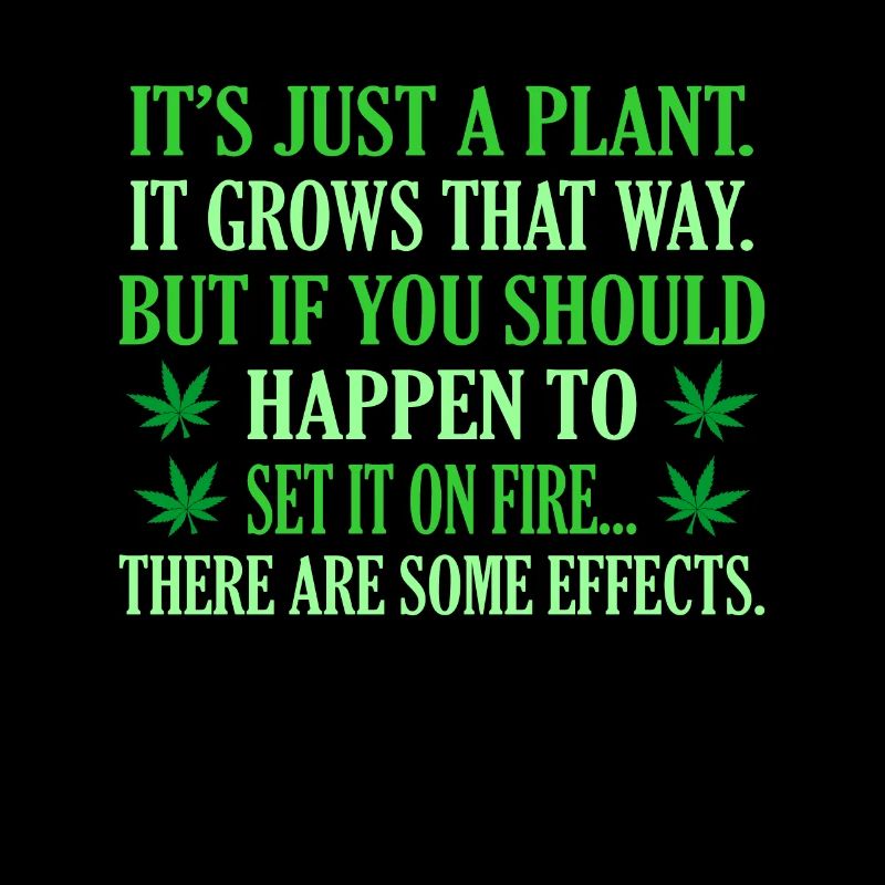 Cannabis