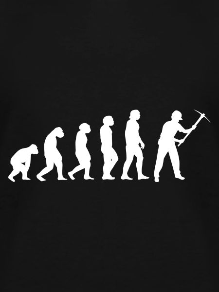 Evolution Bergmann