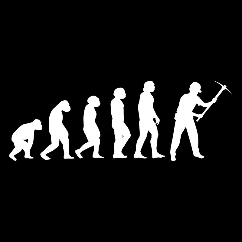 Evolution Bergmann