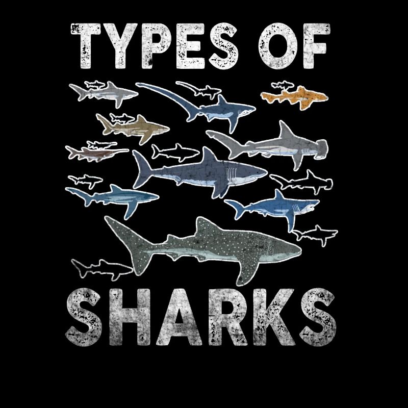 Types de requins