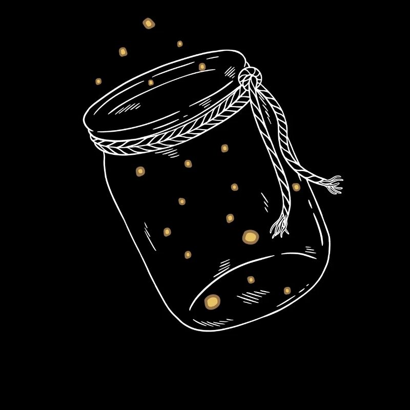 Firefly firefly insect