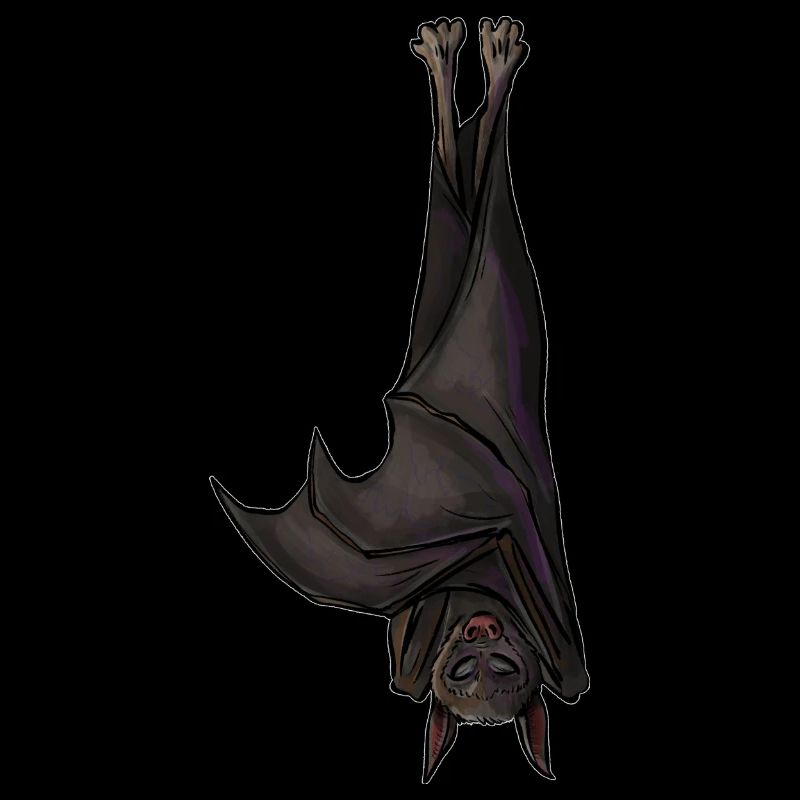 Fledermaus