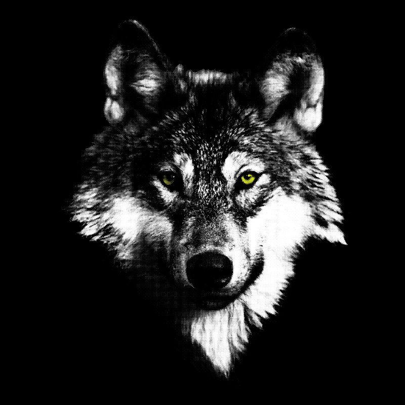 white wolf