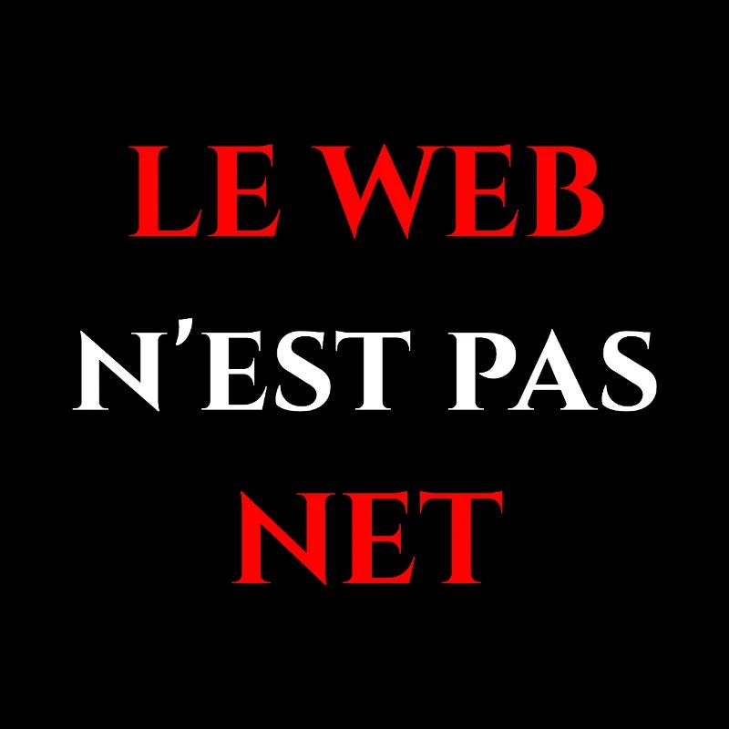 LE WEB N'EST PAS NET !
