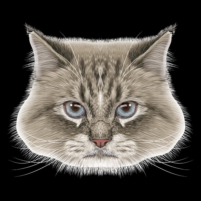 Sibirische Katze 
