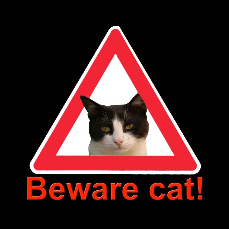 Attention chat signe de trafic chat dame