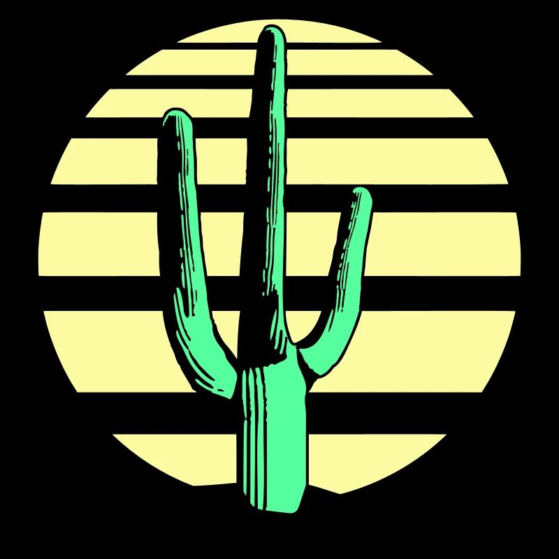 Cactus, désert, coucher de soleil, soir, nuit, cactus