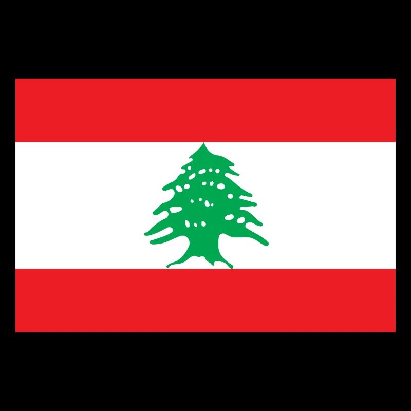 Libanon libanesisch Flagge Fahne