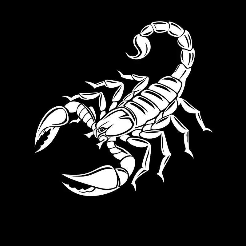 Scorpion - Poisonous Stinger - Species Conservation - Habitat