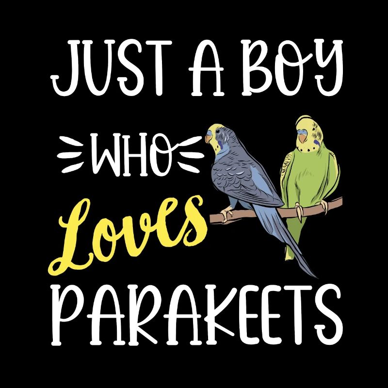 Budgerigar Parakeet Bird Pet Gift