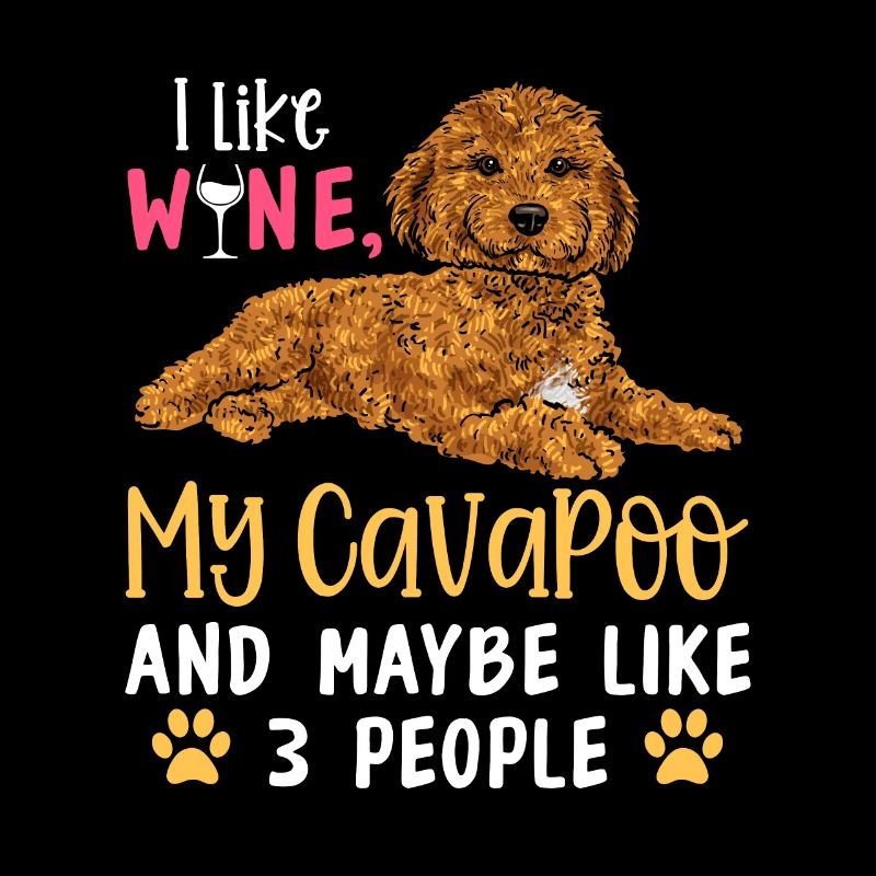 Cavapoo Cavoodle Capoodle Chien