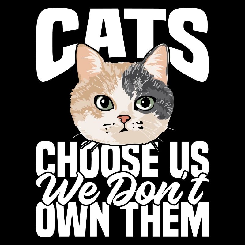 Cats choose us, we don't own them