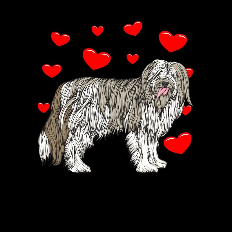 Bearded Collie