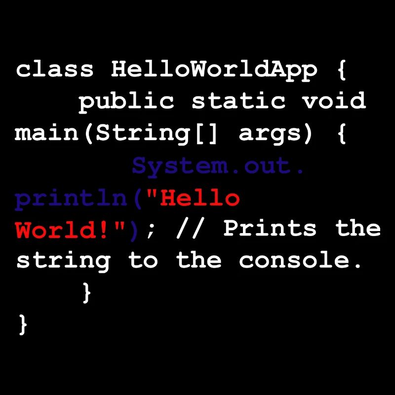 Programmer Coder Software Developer