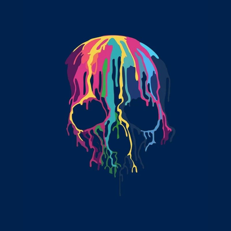 Multi colour skull