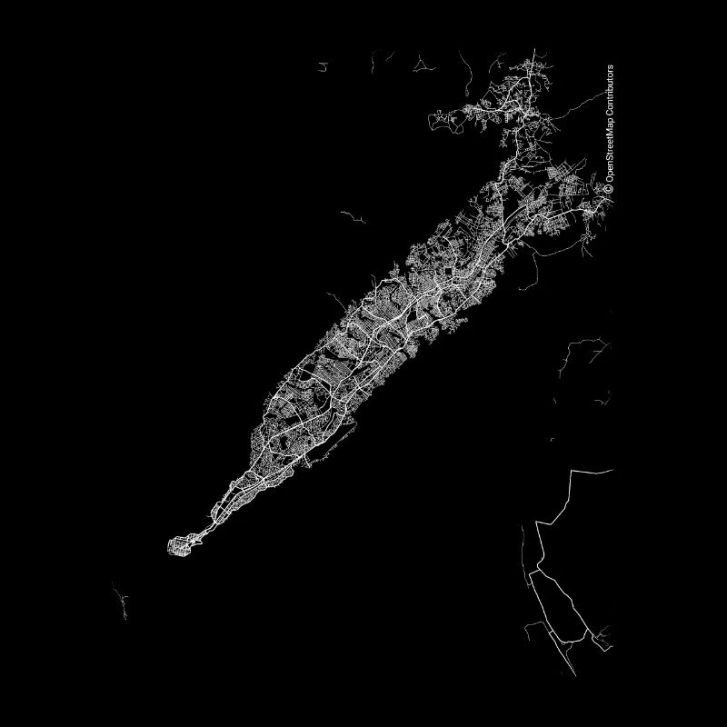 Plan et rues de Conakry