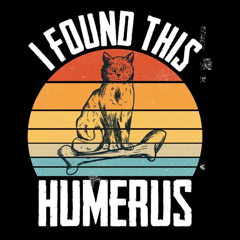 House Tiger Cat Upper Arm Bone Pet Humerus