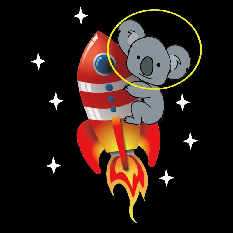Koala dans l’espace