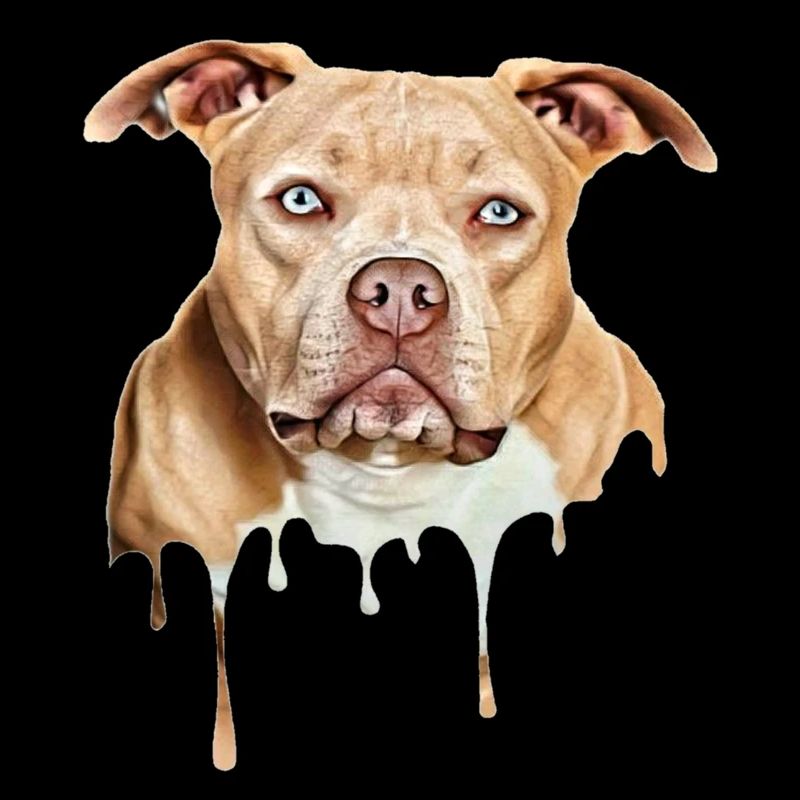 Bully Art American Bully Exotic Bully