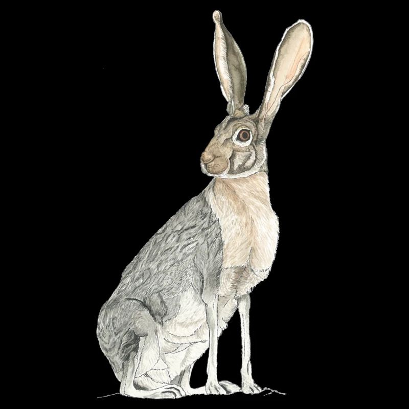 Rabbit with long spoons