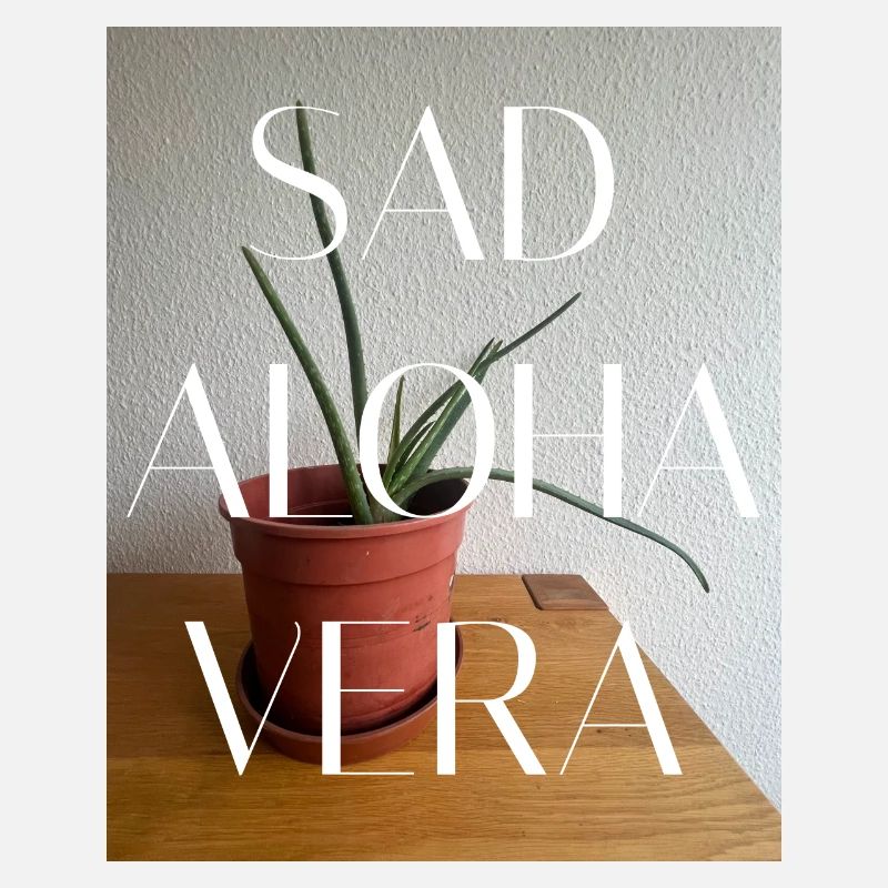 SAV-FFFFFF SAD ALOHA VERA