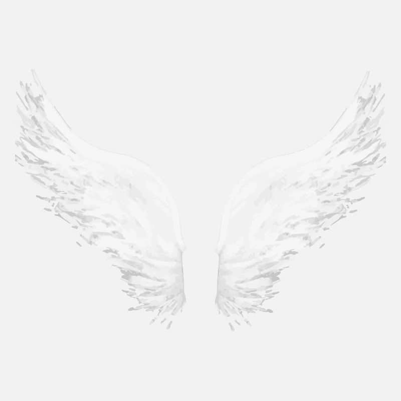 ailes,ailes d’ange,ailes,anges,anges gardiens