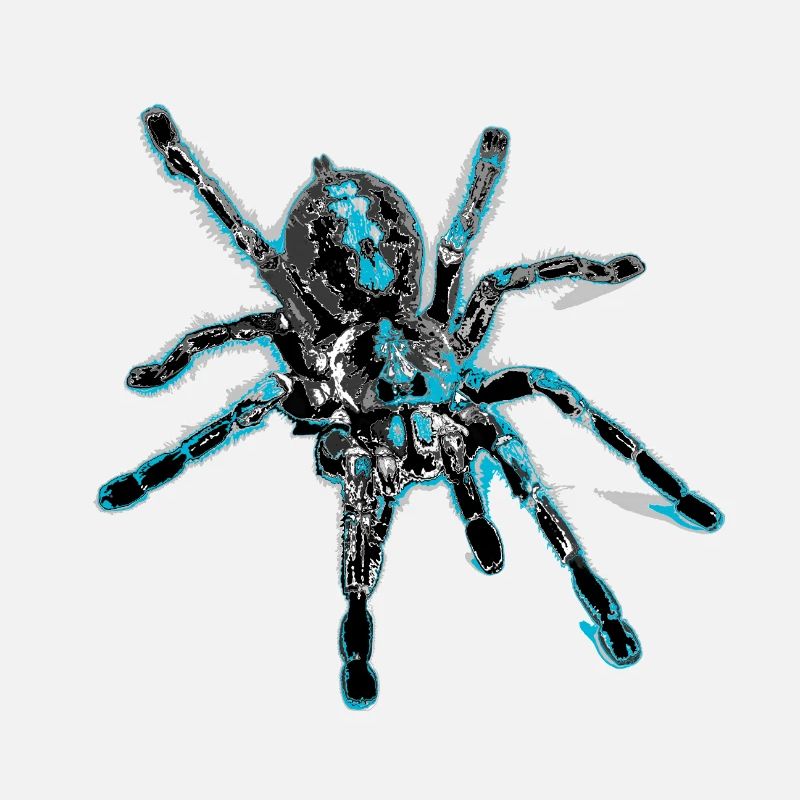 Araignée tigre bleu, araignée