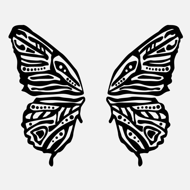 ailes papillon