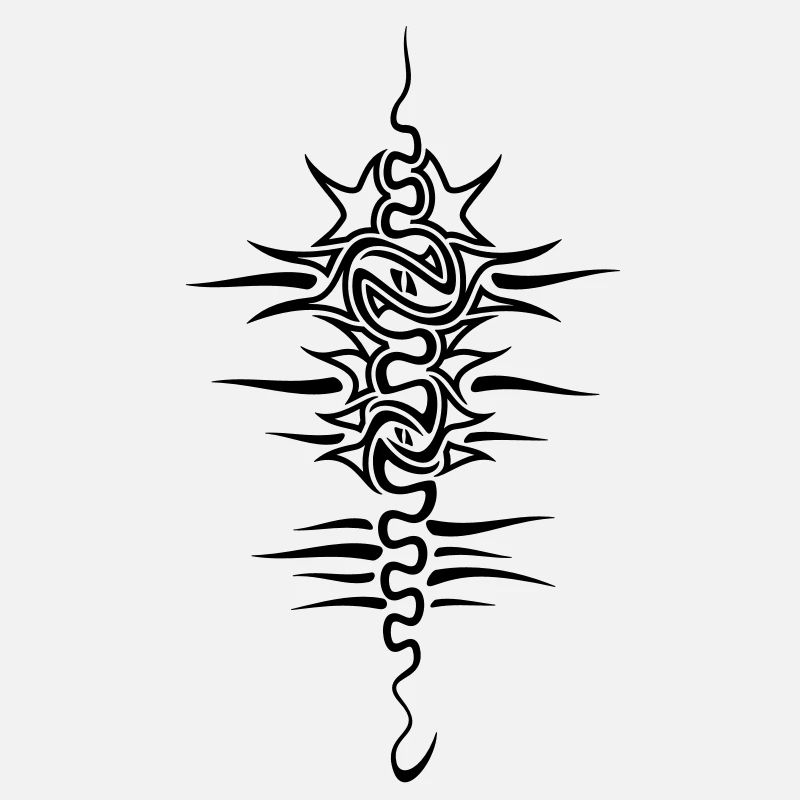 spine_front