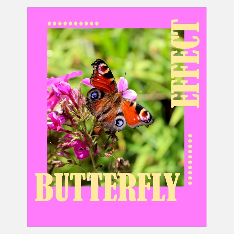 Conception de photos à effet papillon
